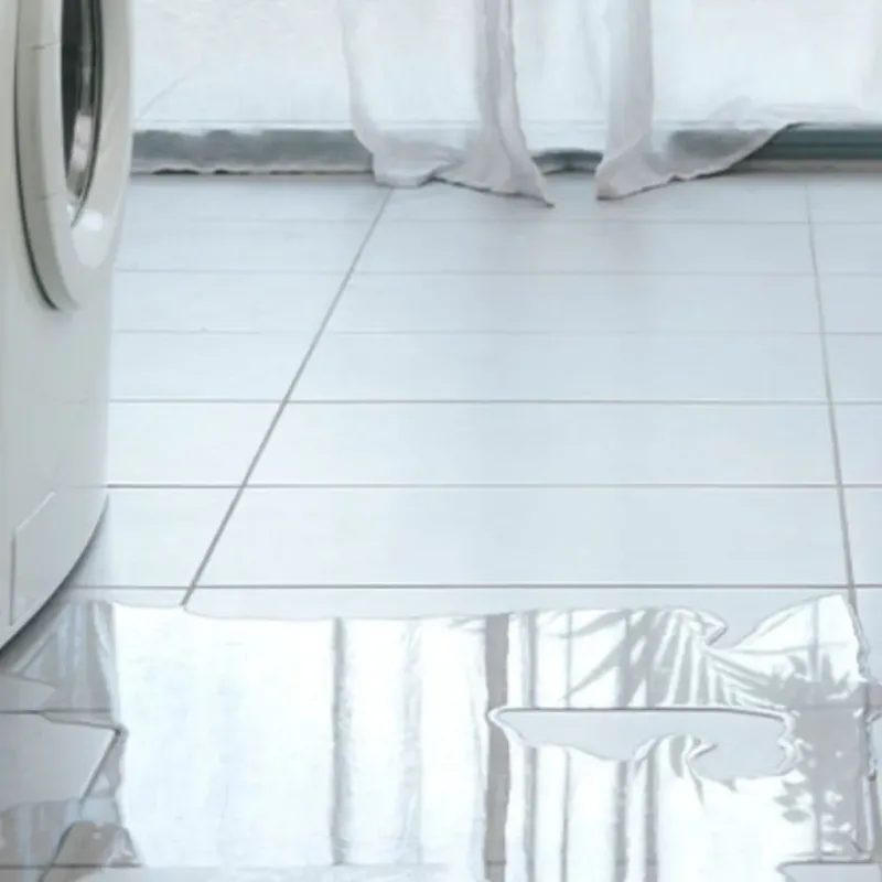 Appliance Leak Cleanup in Somerset County, MD