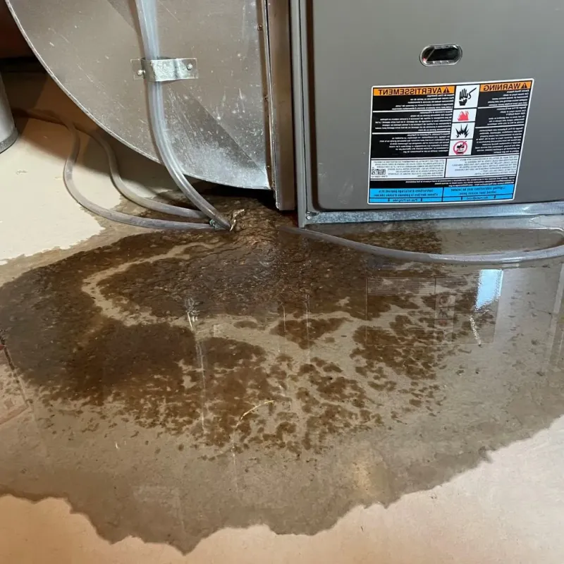 Pipe Burst and Leak Restoration in Somerset County, MD